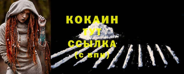 спайс Аркадак