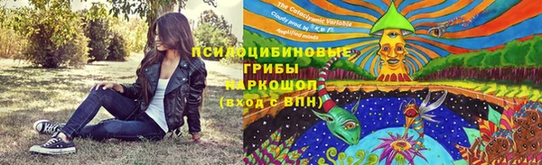 спайс Аркадак