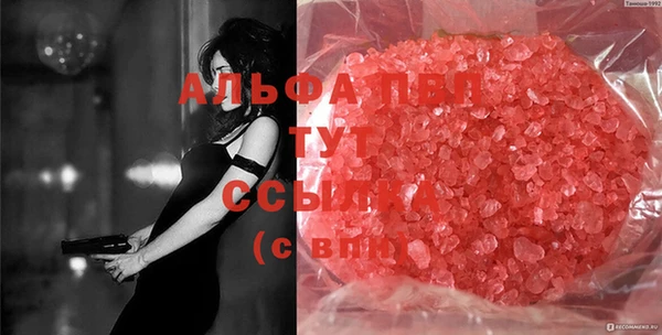 спайс Аркадак
