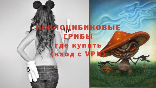 спайс Аркадак