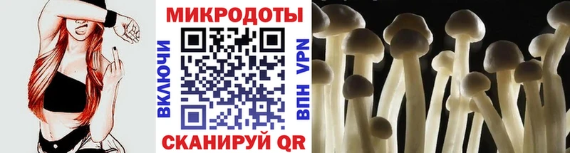Псилоцибиновые грибы прущие грибы  купить наркотики сайты  Трёхгорный 